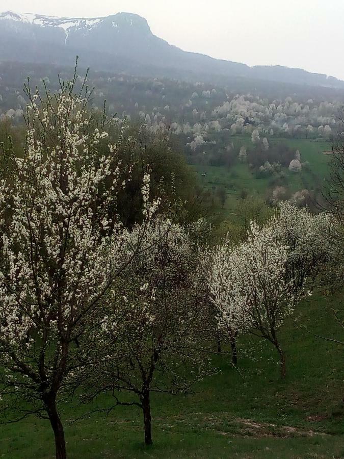 Complex Traditional Casuta Bunicilor-Breb מראה חיצוני תמונה